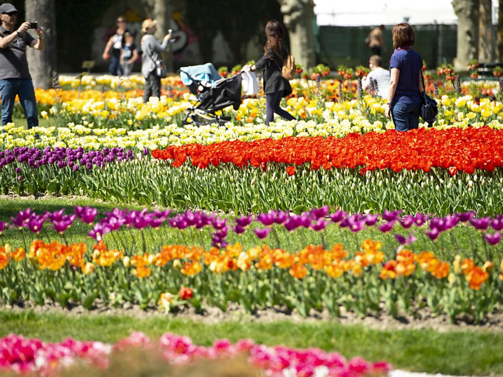 Parc de l'Indépendance en fleurs à Morges, au bord du lac Léman, à deux pas du kiosque